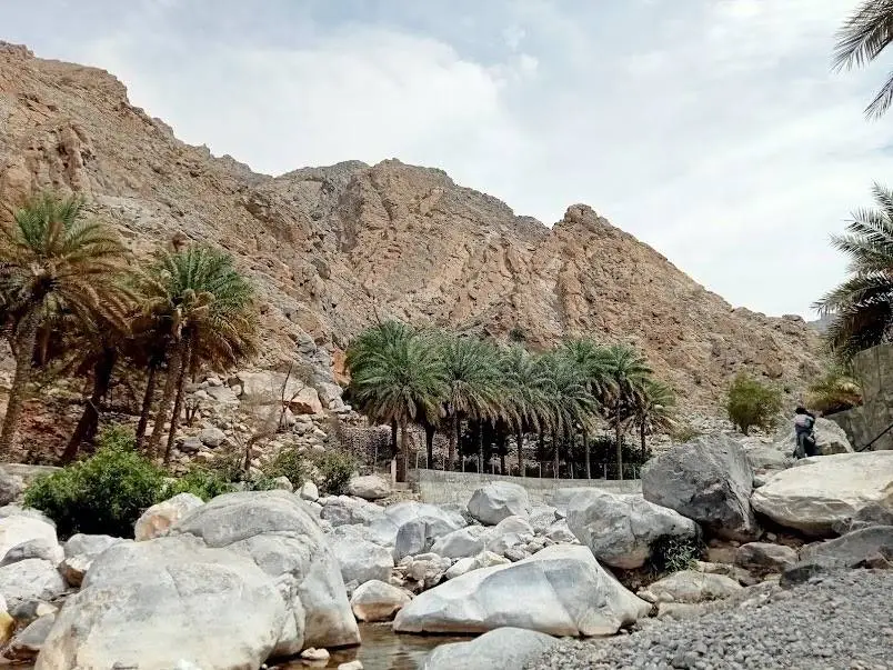 ولاية نخل محافظة جنوب الباطنة 