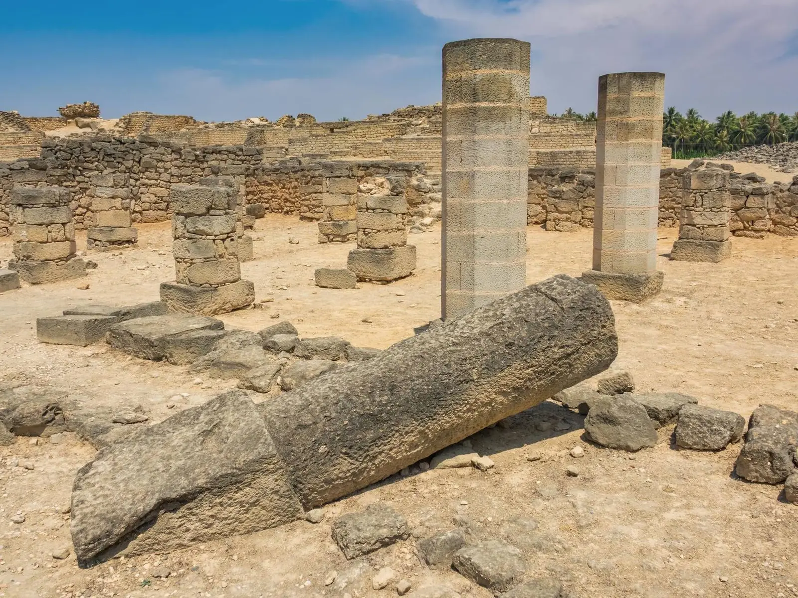 صورة حديقة البليد الأثرية