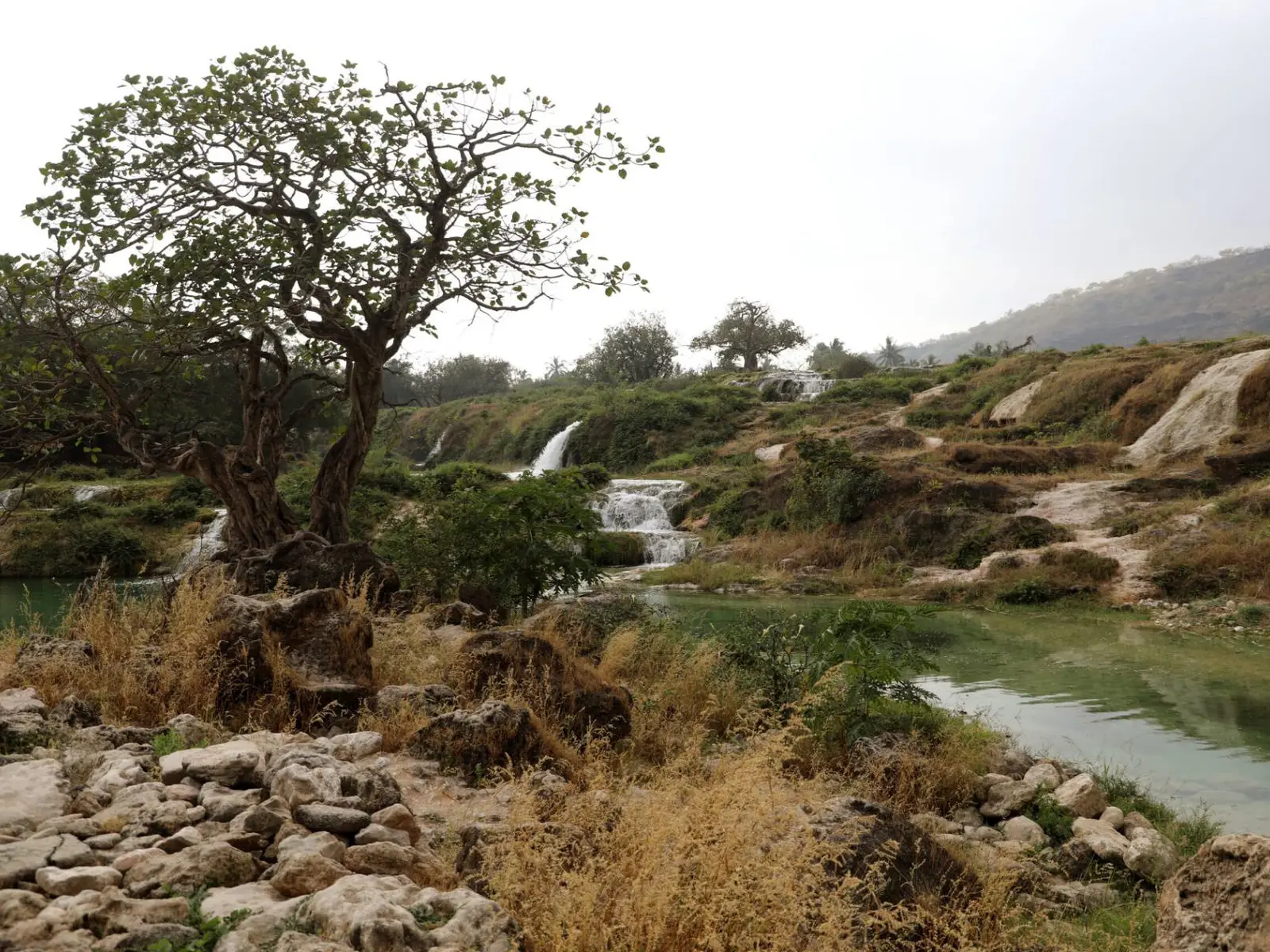 Photo of Wadi Darbat, photo 5 of 17