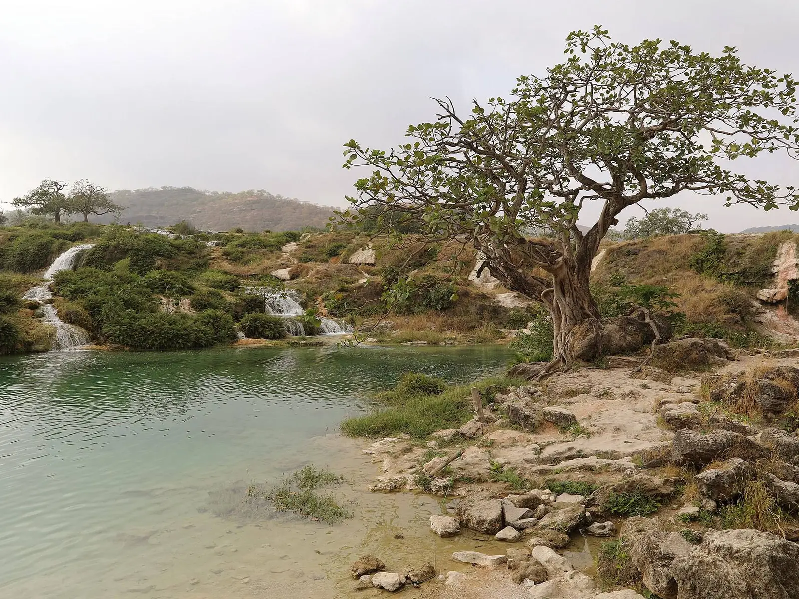 Photo of Dhofar