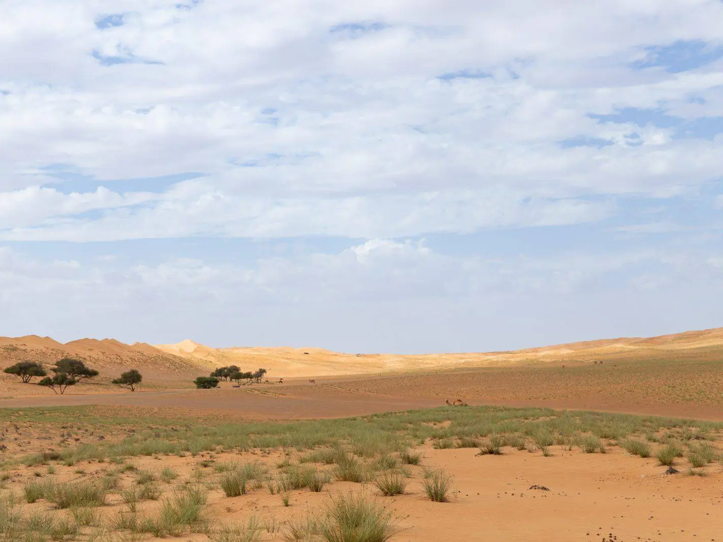 Photo of Ash Sharqiyah North, photo 8 of 12