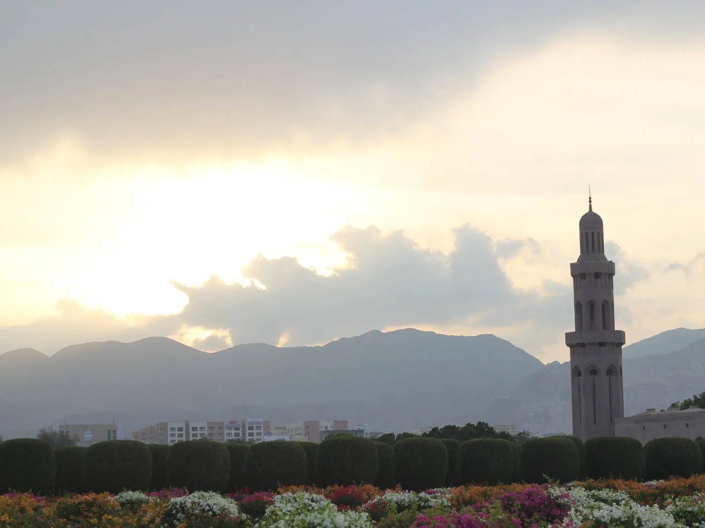 Photo of Muscat