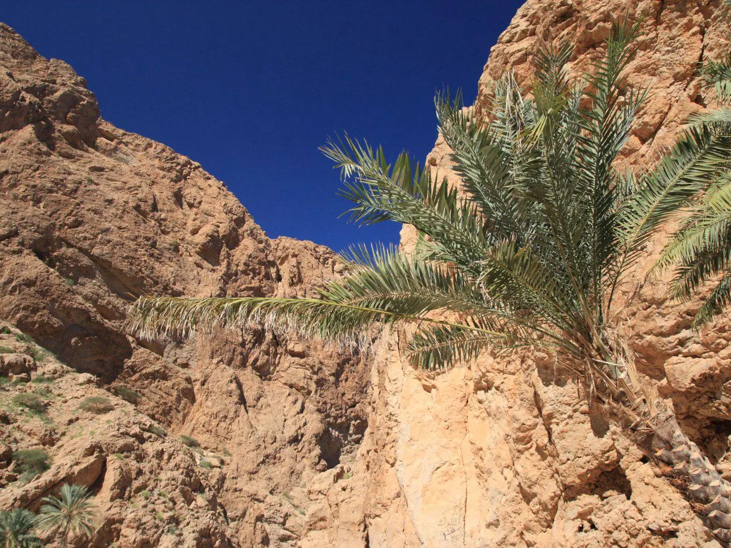 Photo of Ash Sharqiyah South, photo 3 of 13