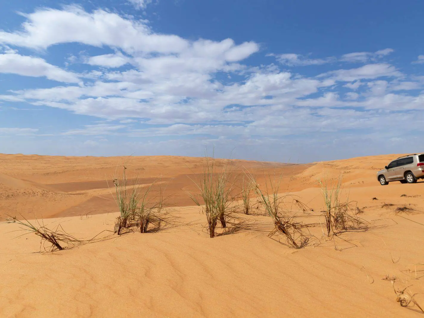 Photo of Ash Sharqiyah North, photo 11 of 12