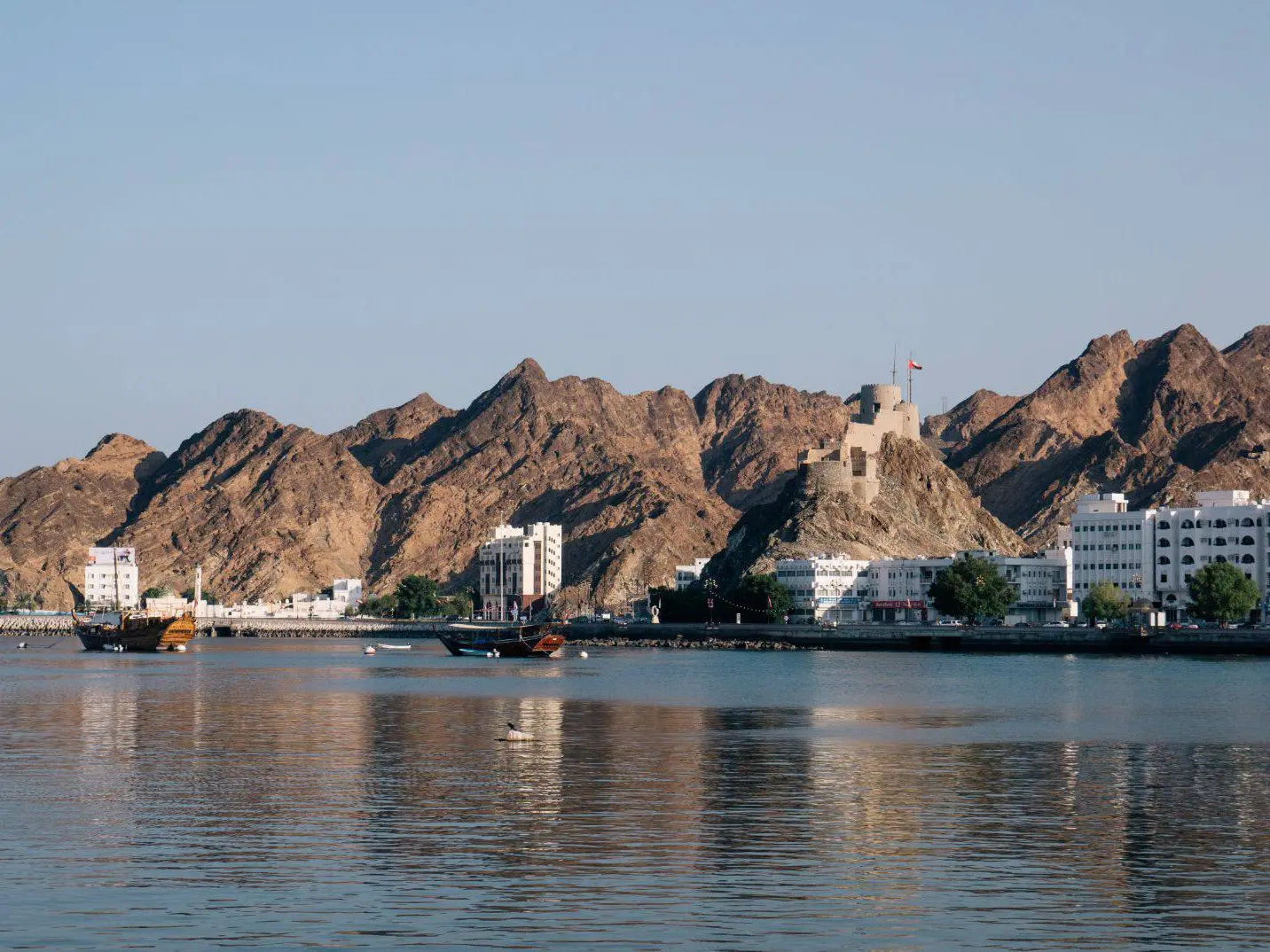 Photo of Muscat