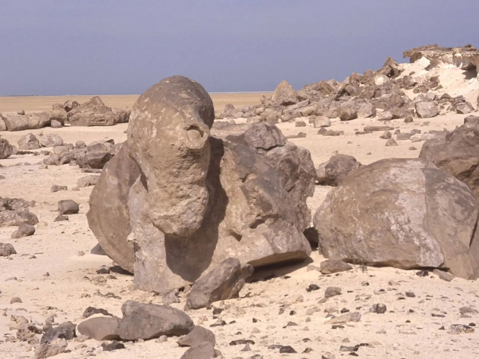 Photo of Al Wusta, photo 6 of 8