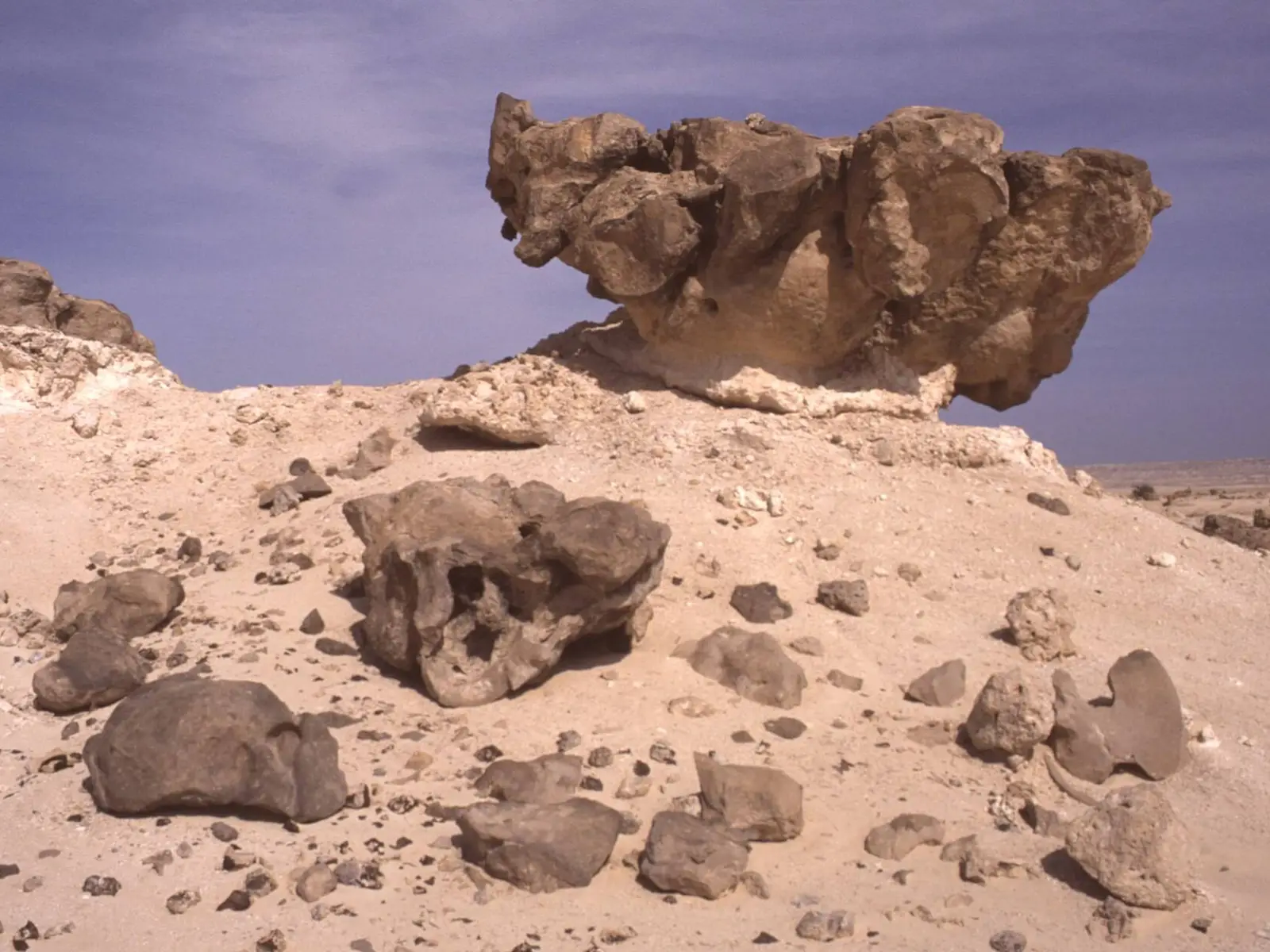 Photo of Al Wusta, photo 8 of 8