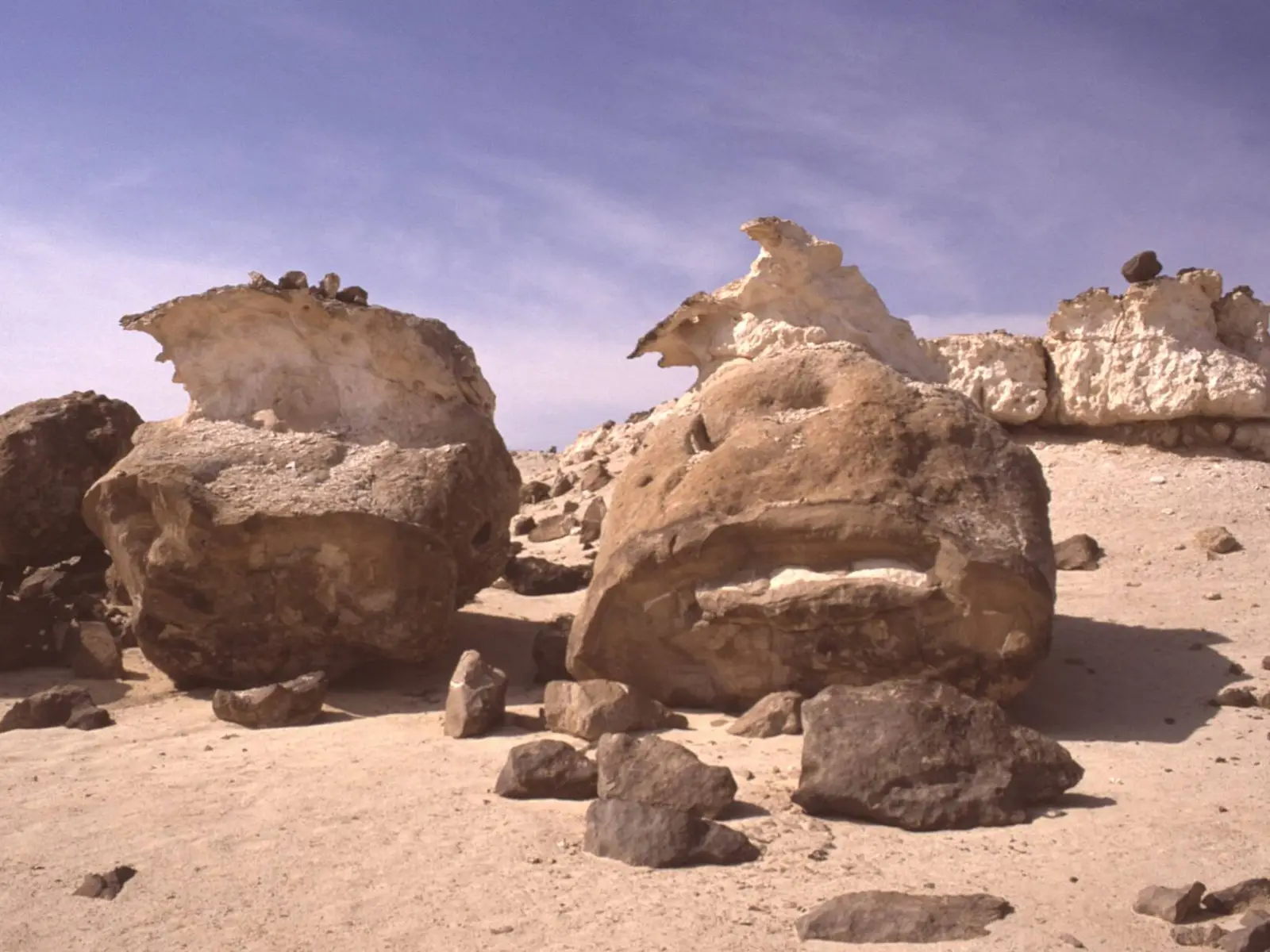 Photo of Al Wusta, photo 2 of 8
