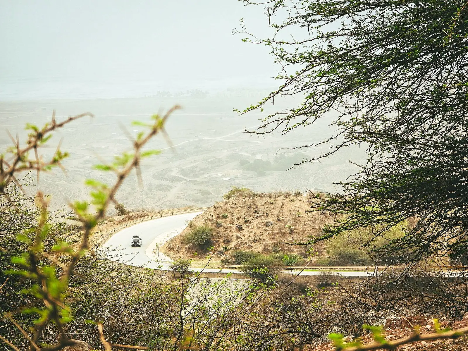 صورة صلالة