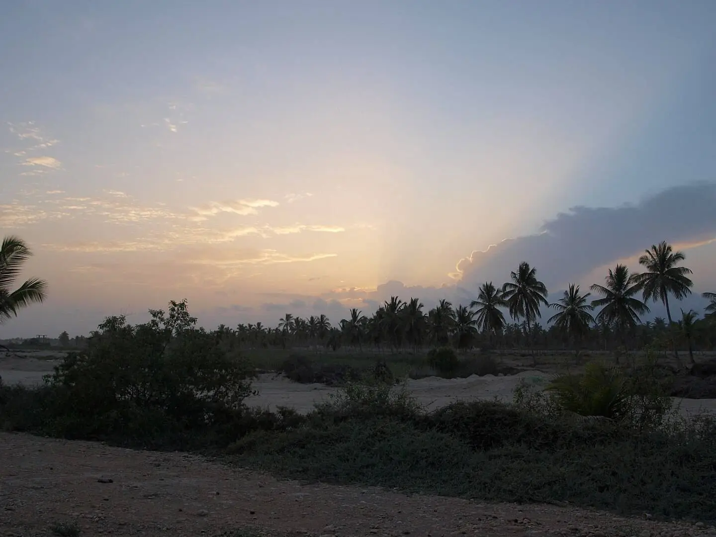 صورة صلالة