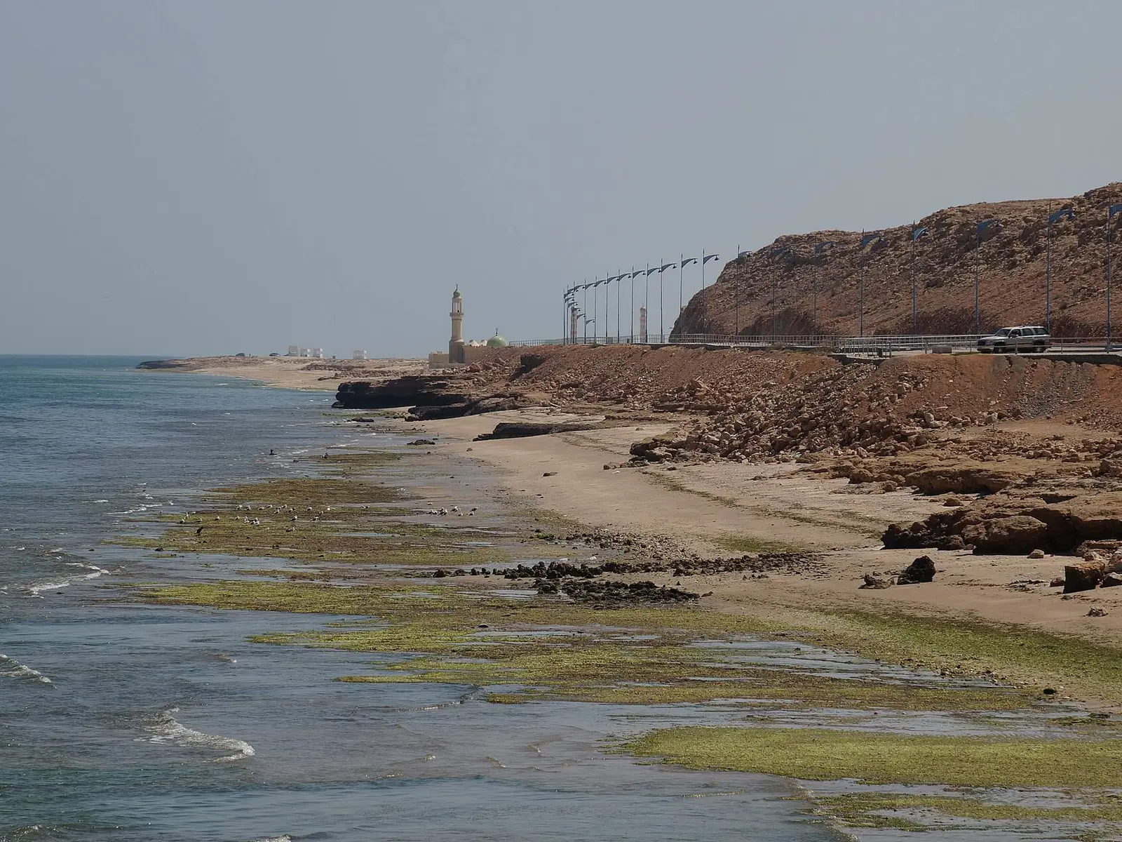 صورة صور