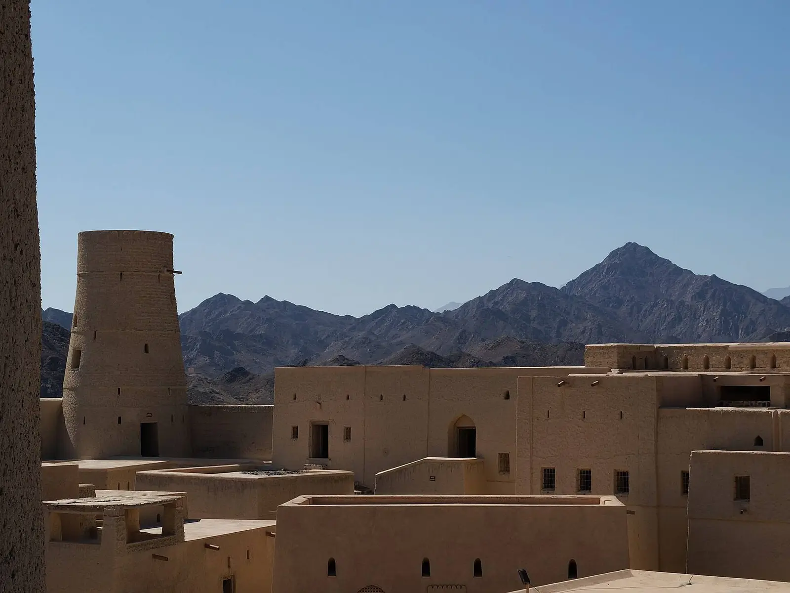 صورة بهلاء