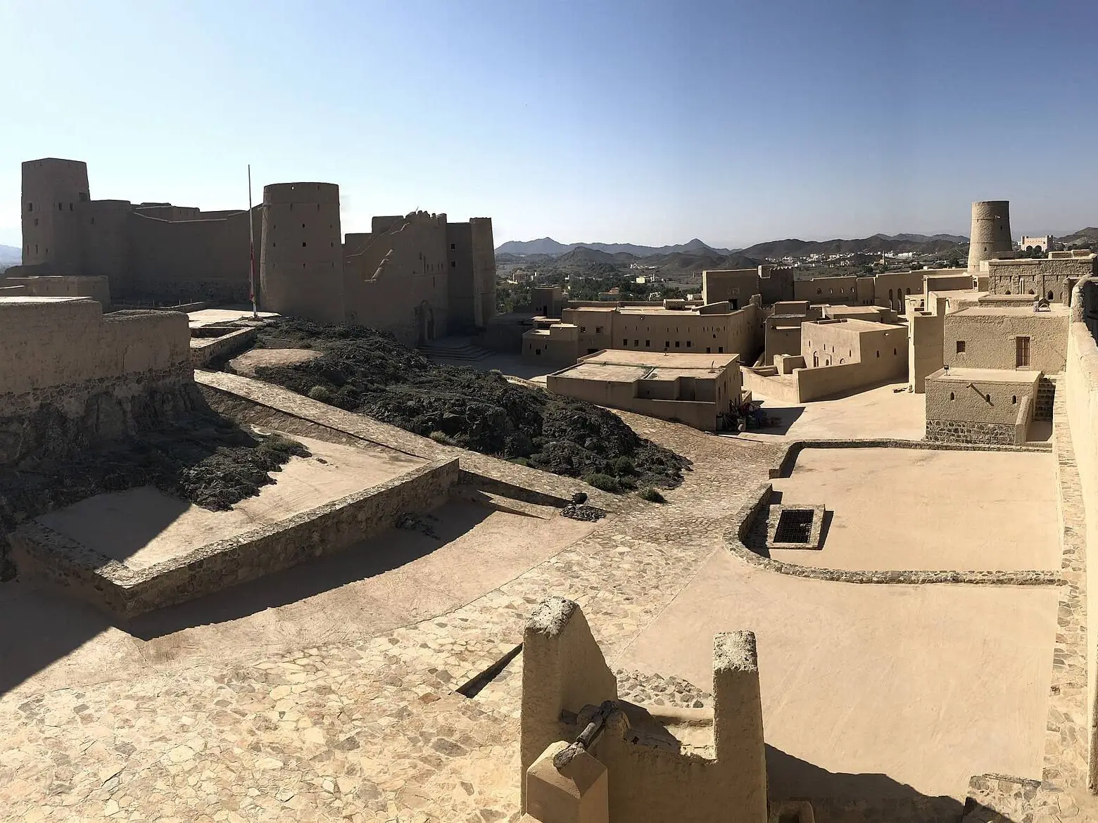صورة بهلاء
