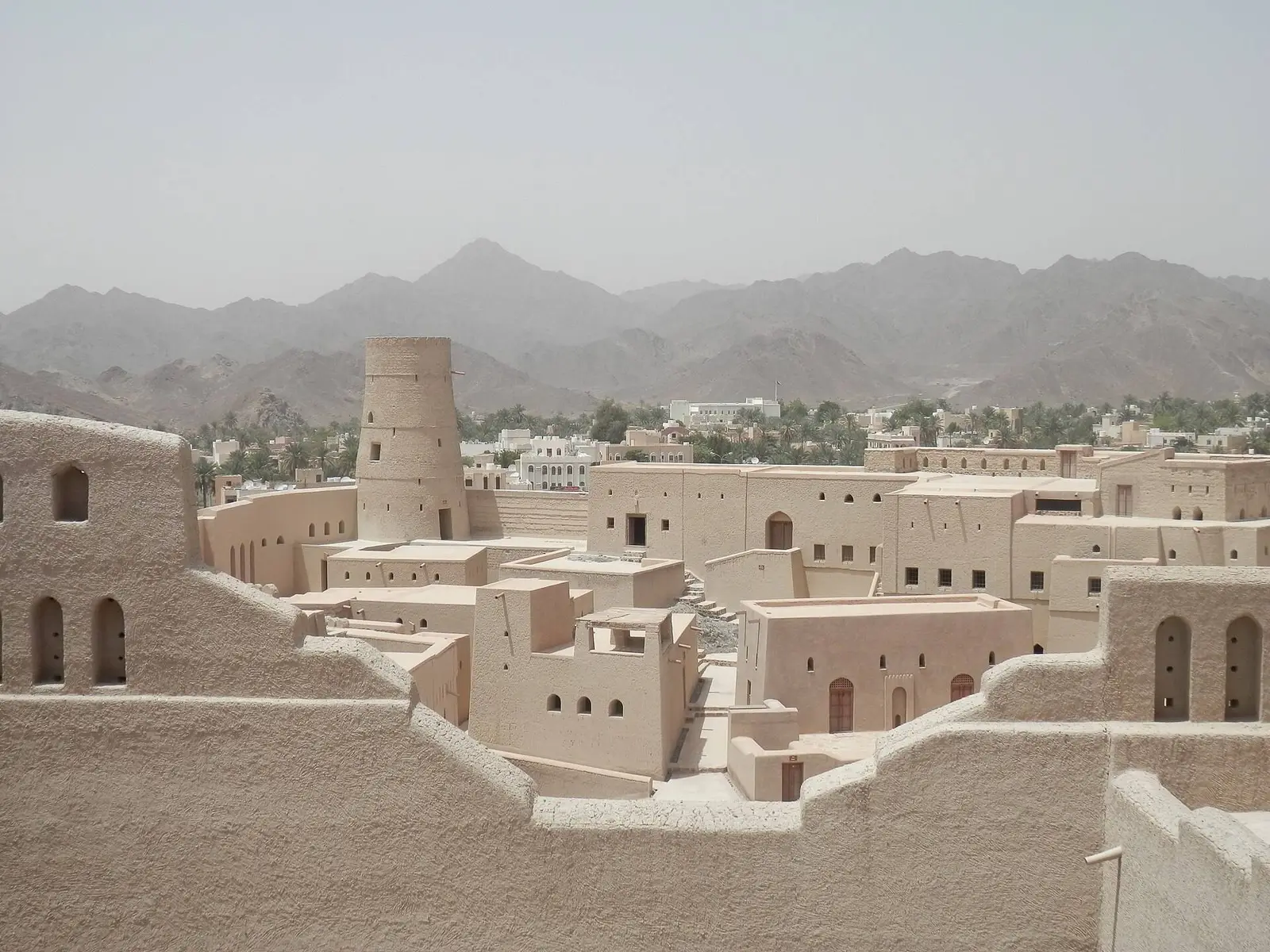 صورة بهلاء