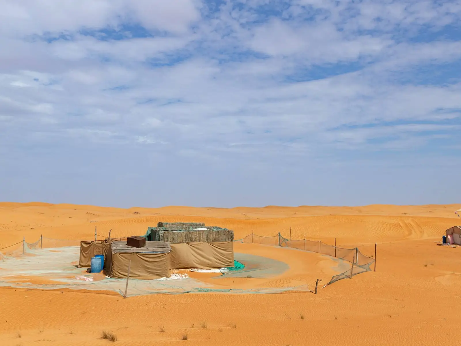 صورة بدية
