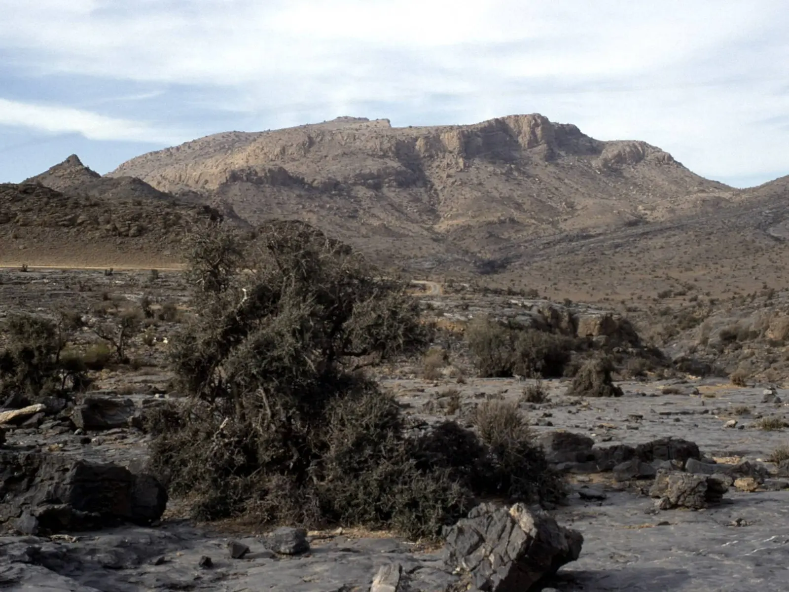 صورة الحمراء
