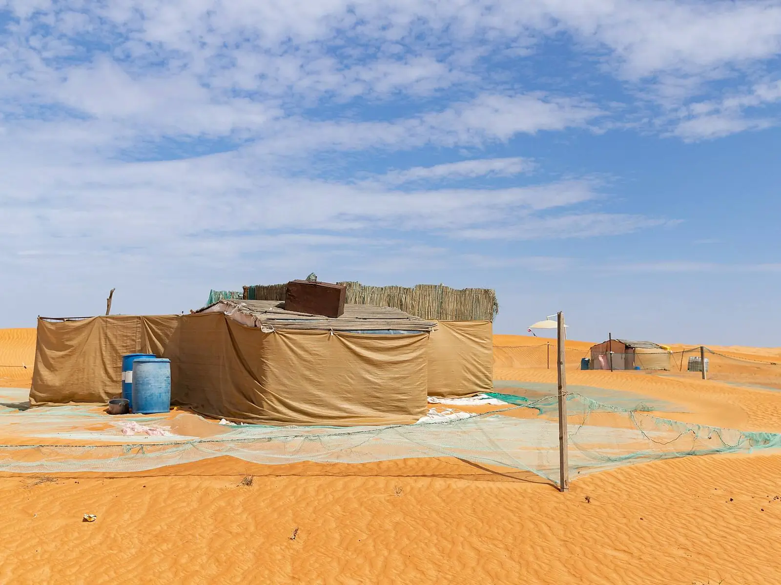 صورة بدية
