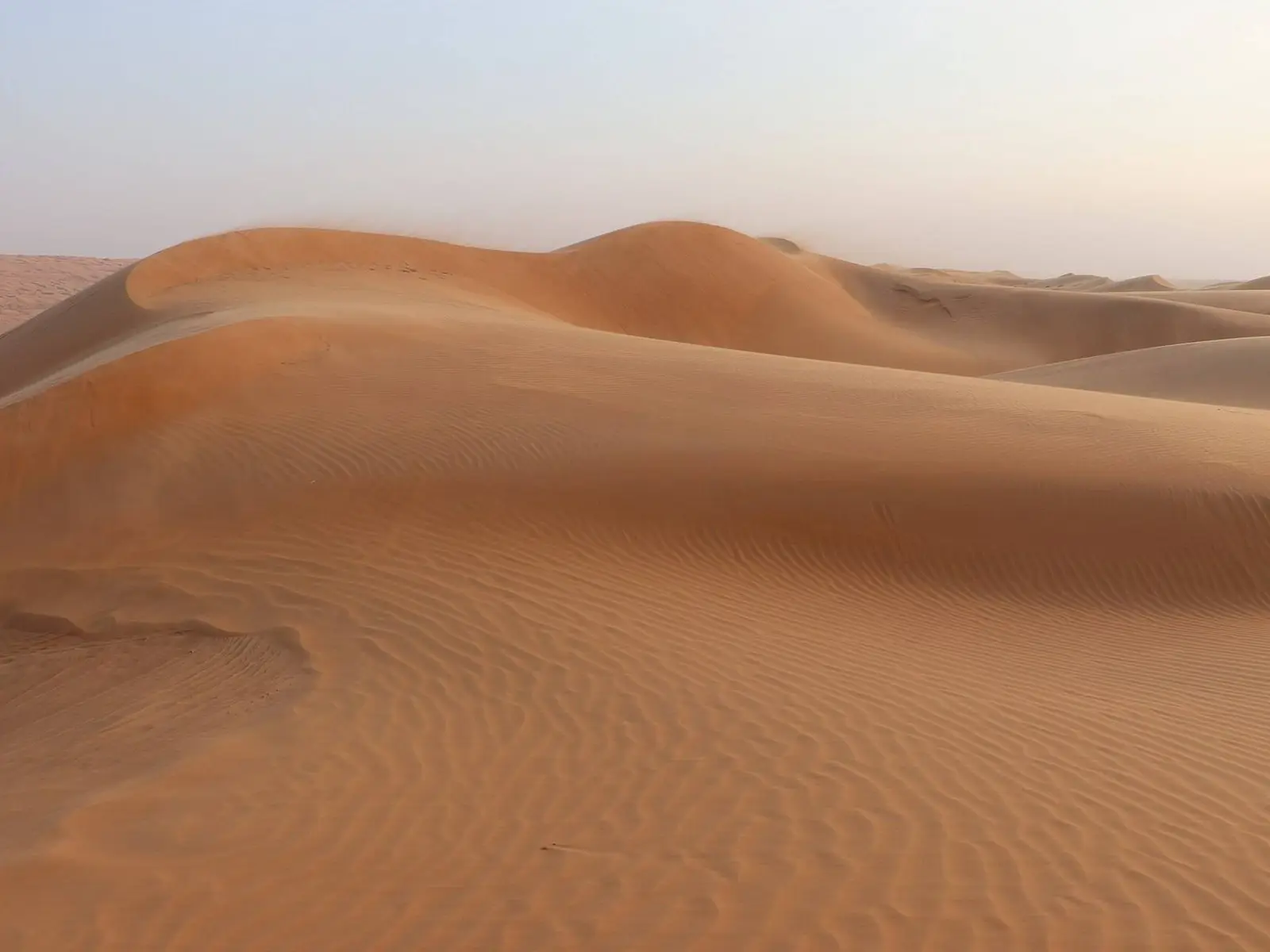 صورة بدية