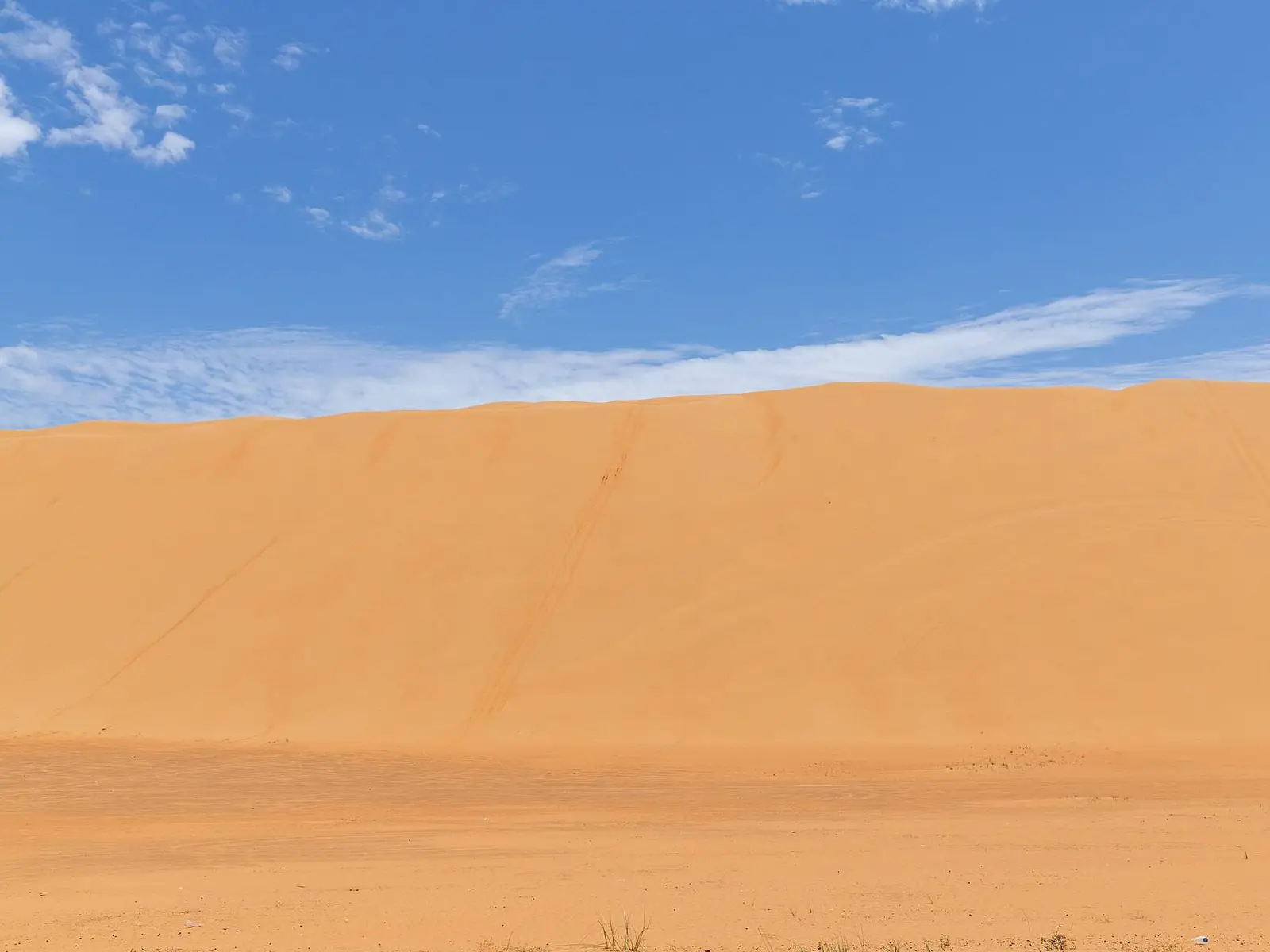 صورة بدية