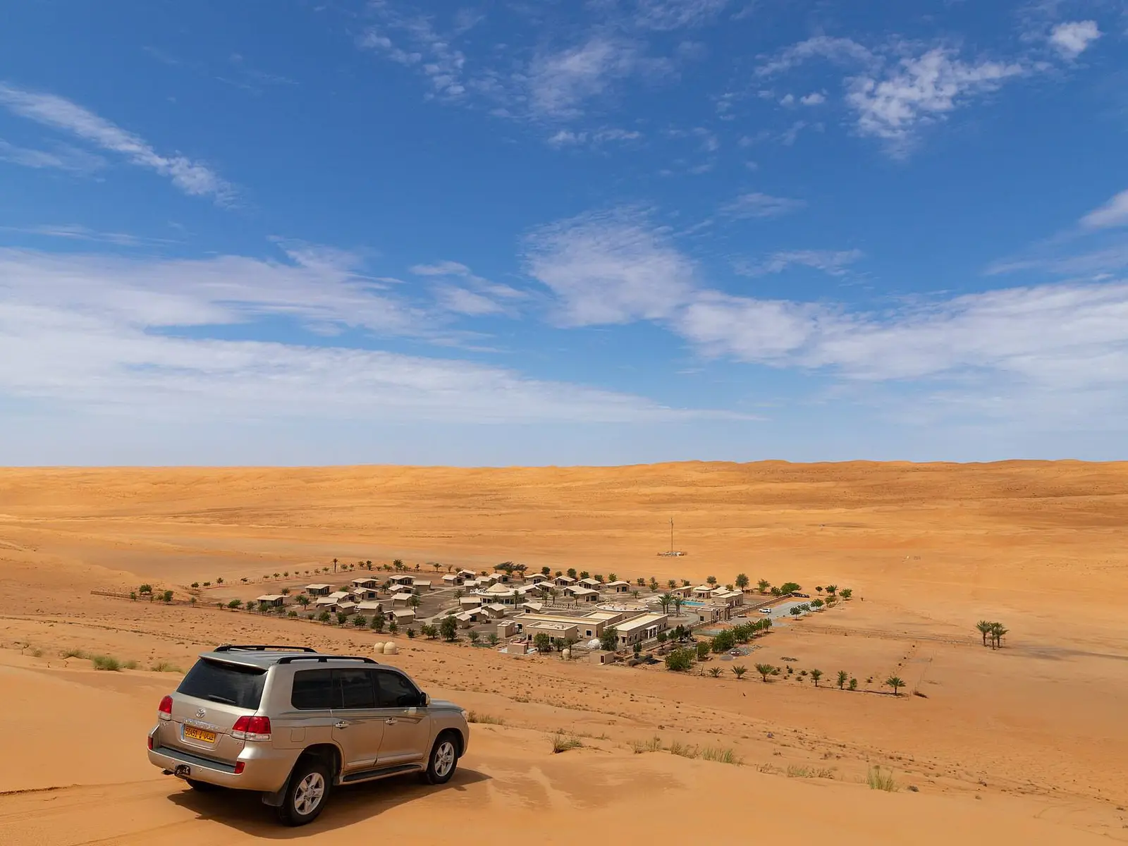 صورة بدية