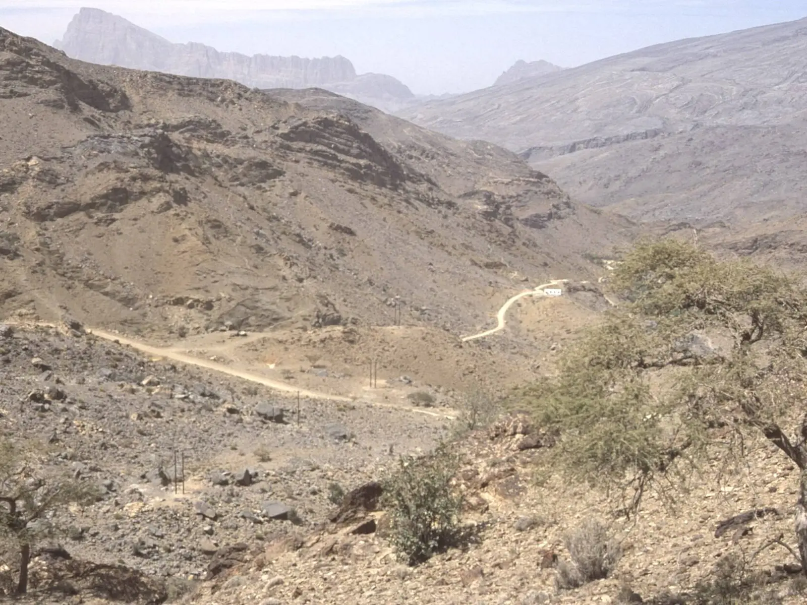 صورة الحمراء