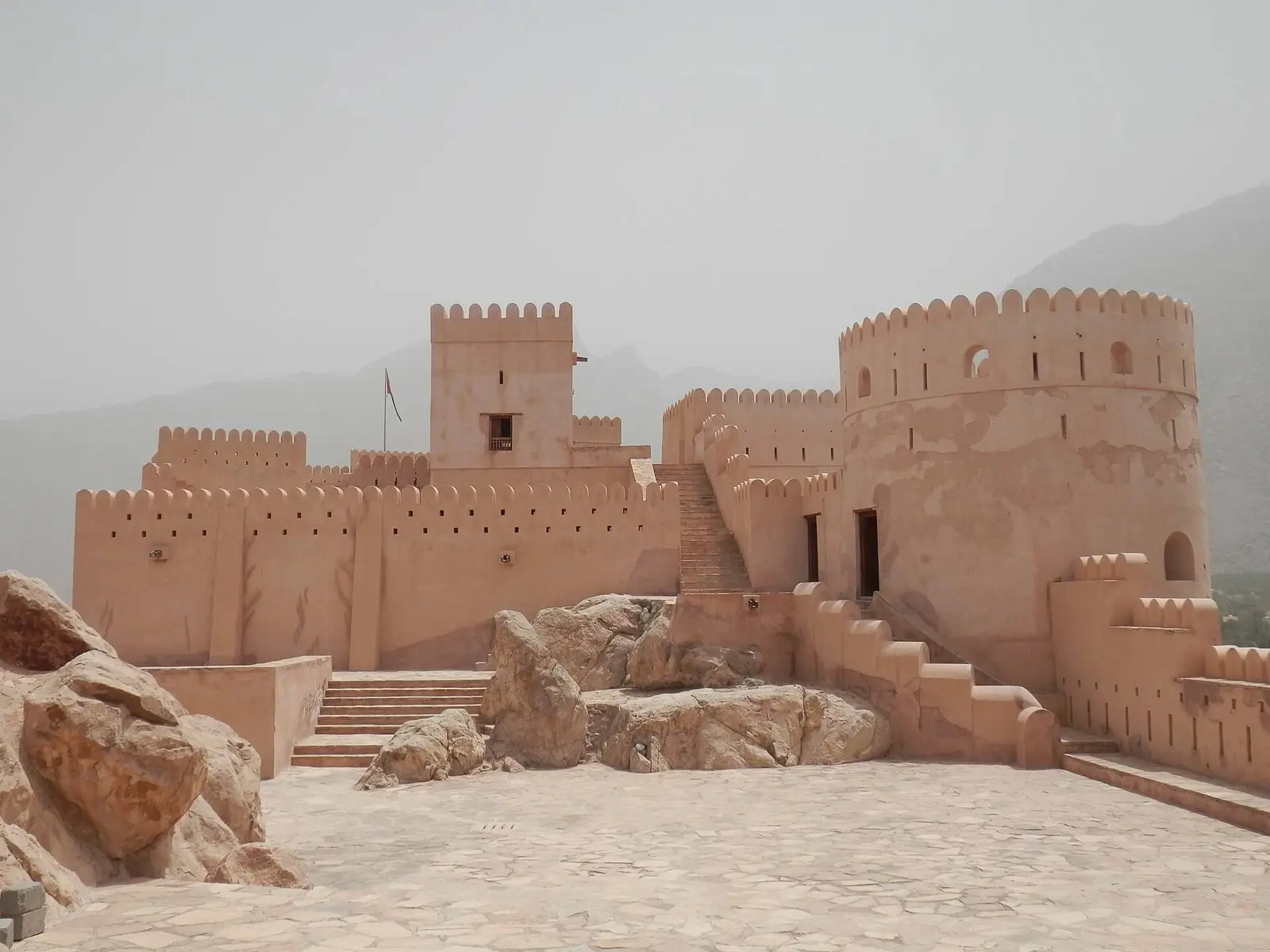 صورة نخل