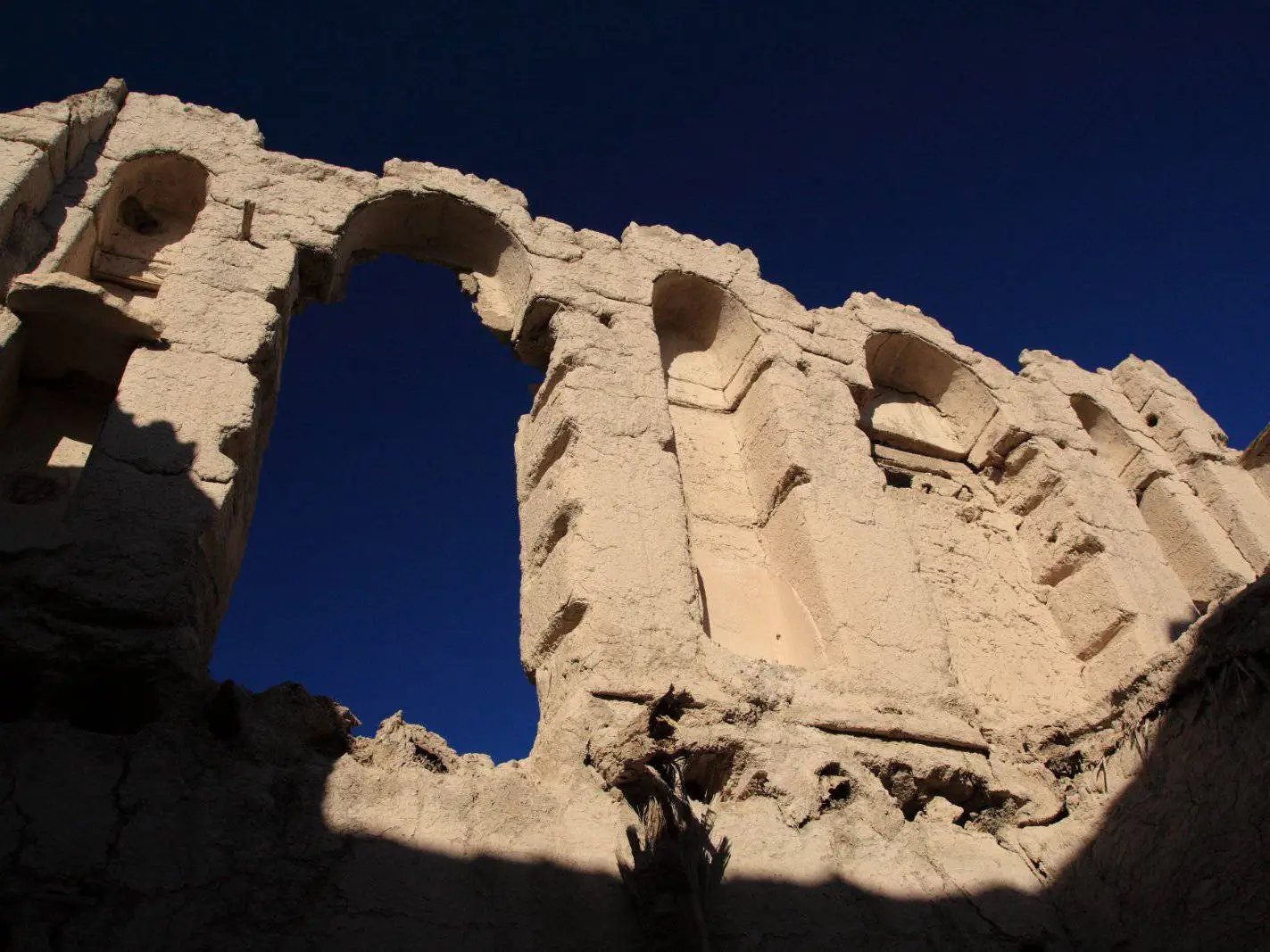 صورة منح