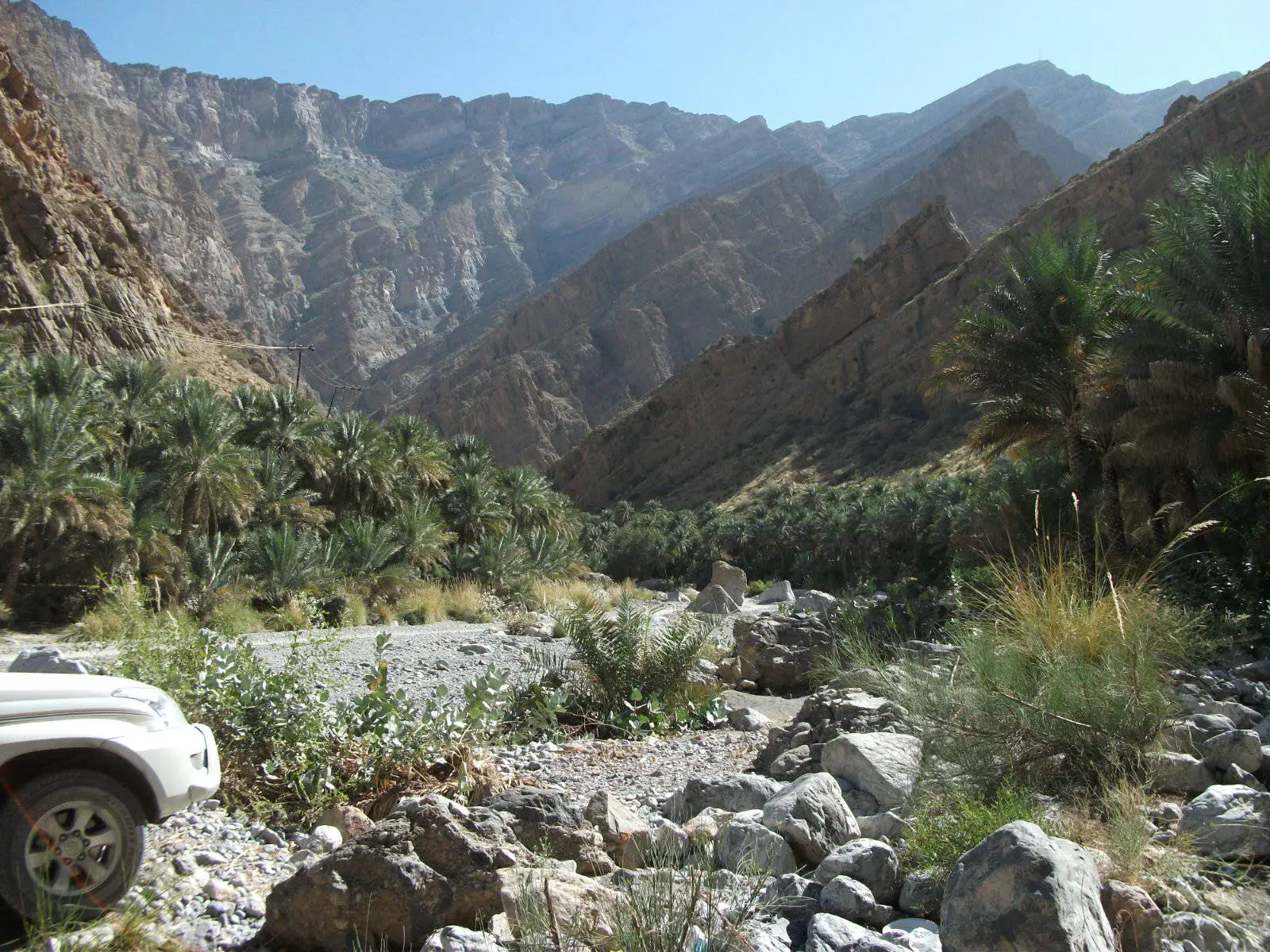 صورة العوابي