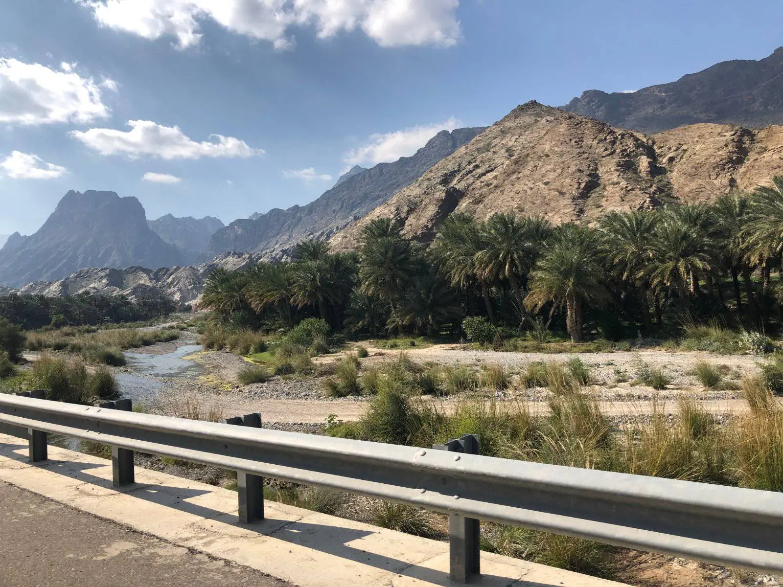 صورة العوابي