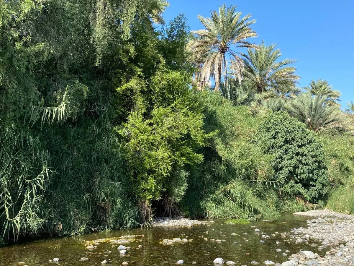 صورة سمائل