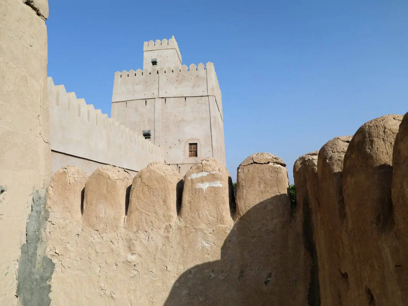 صورة الكامل والوافي