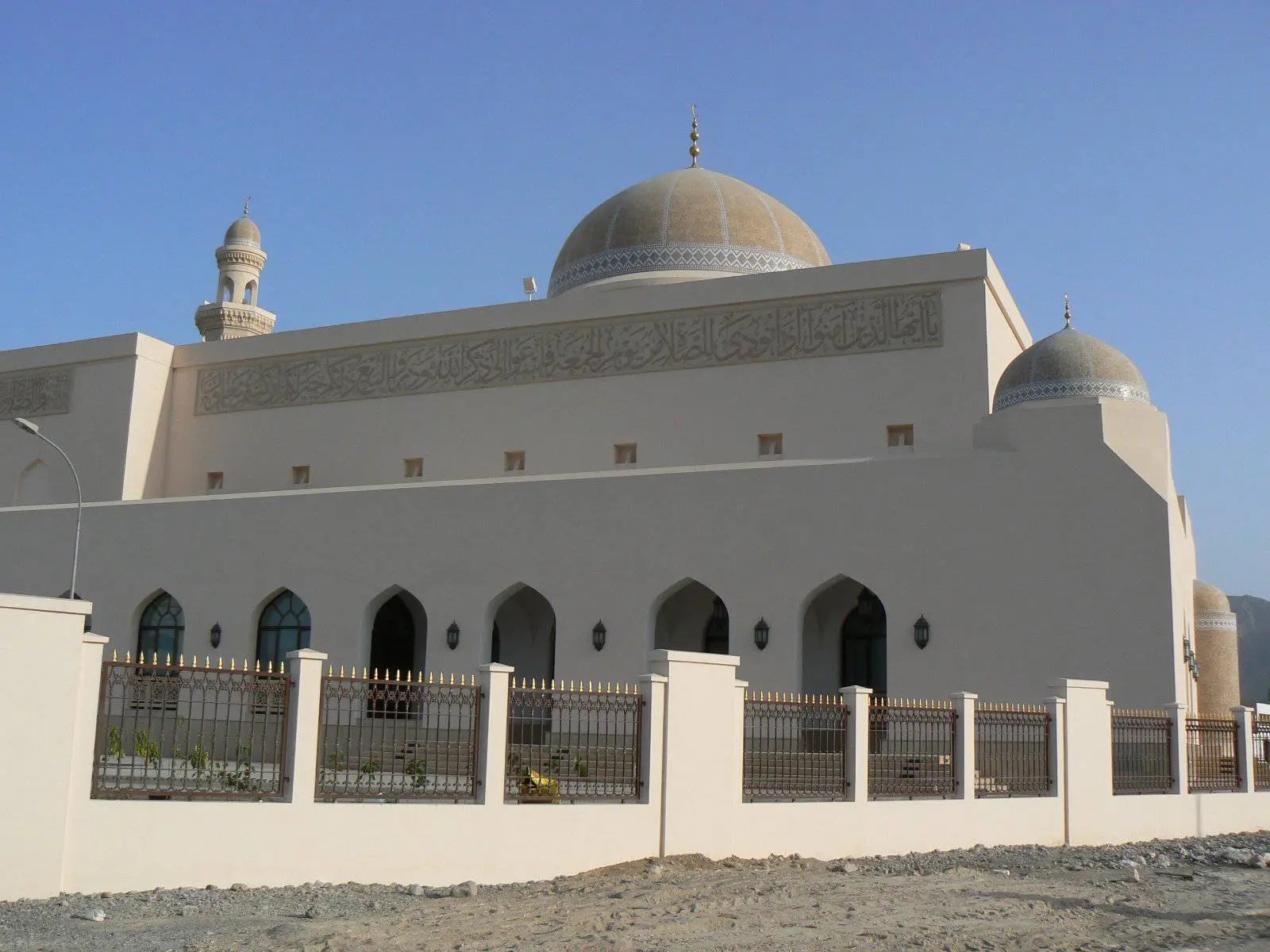 صورة السيب
