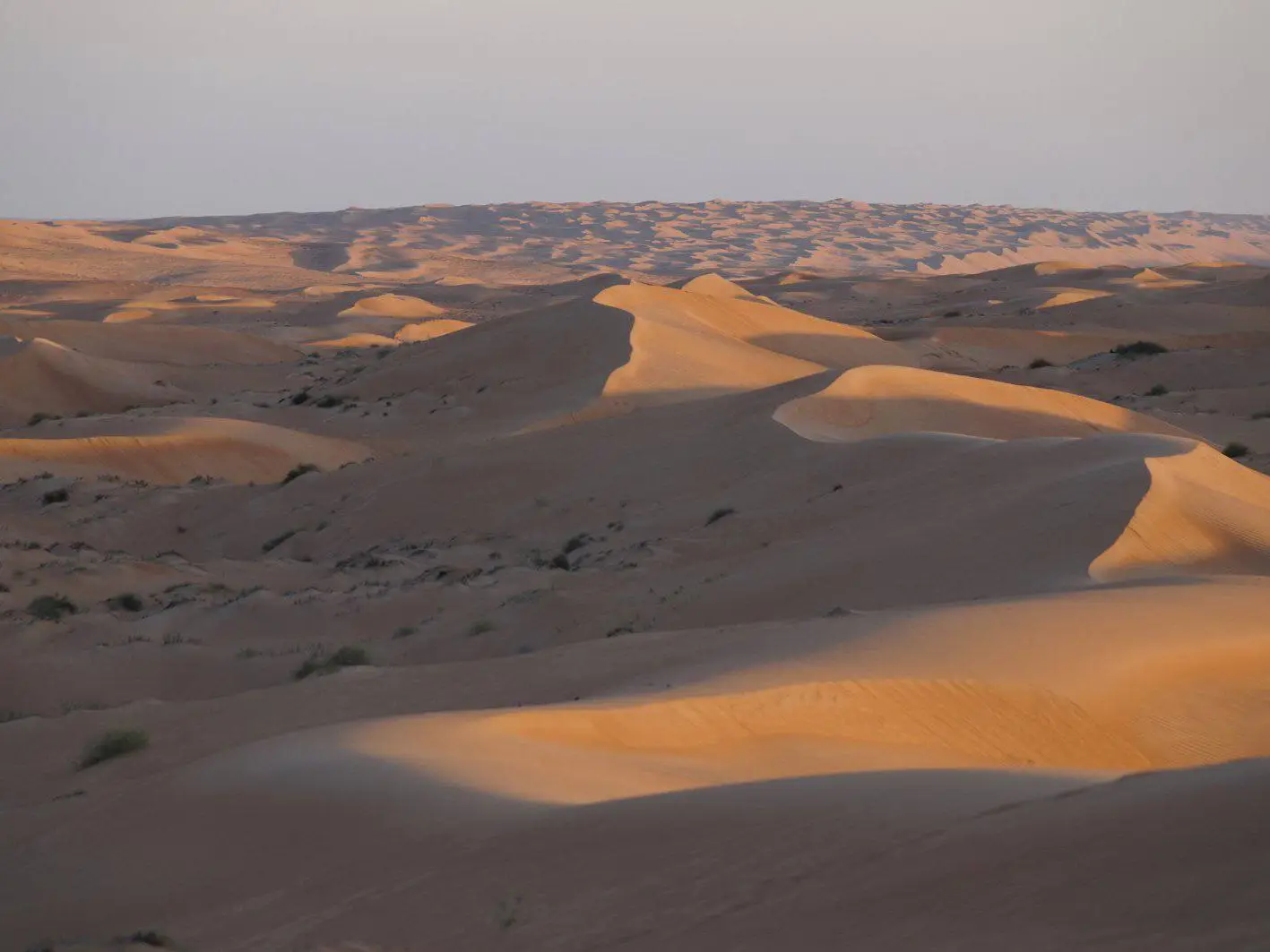 Photo of Wahiba Sands high dunes (sunrise/sunset viewpoint)