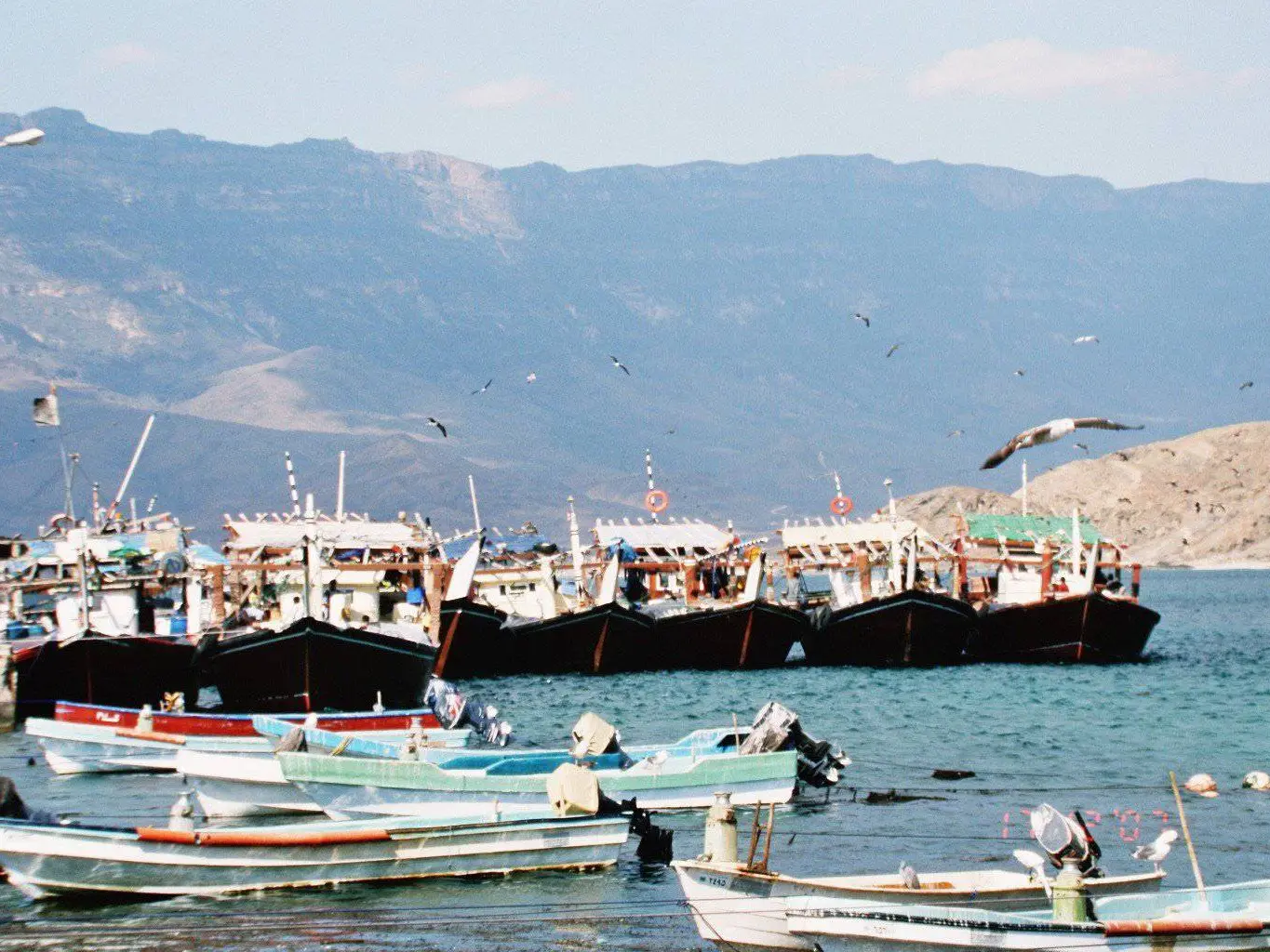 Photo of Mirbat Harbour