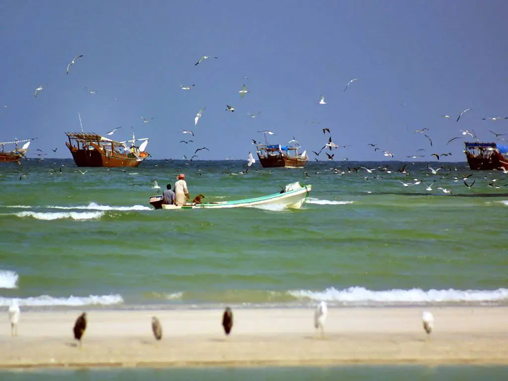 Photo of Duqm Beach