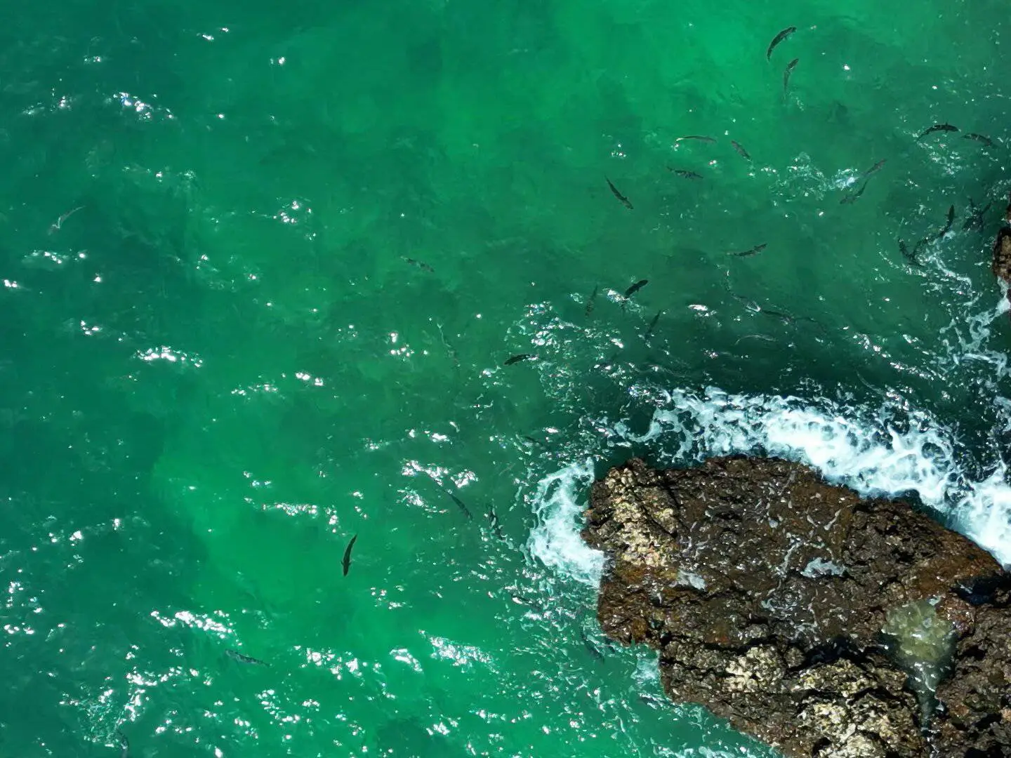 Photo of Daymaniyat Islands Nature Reserve