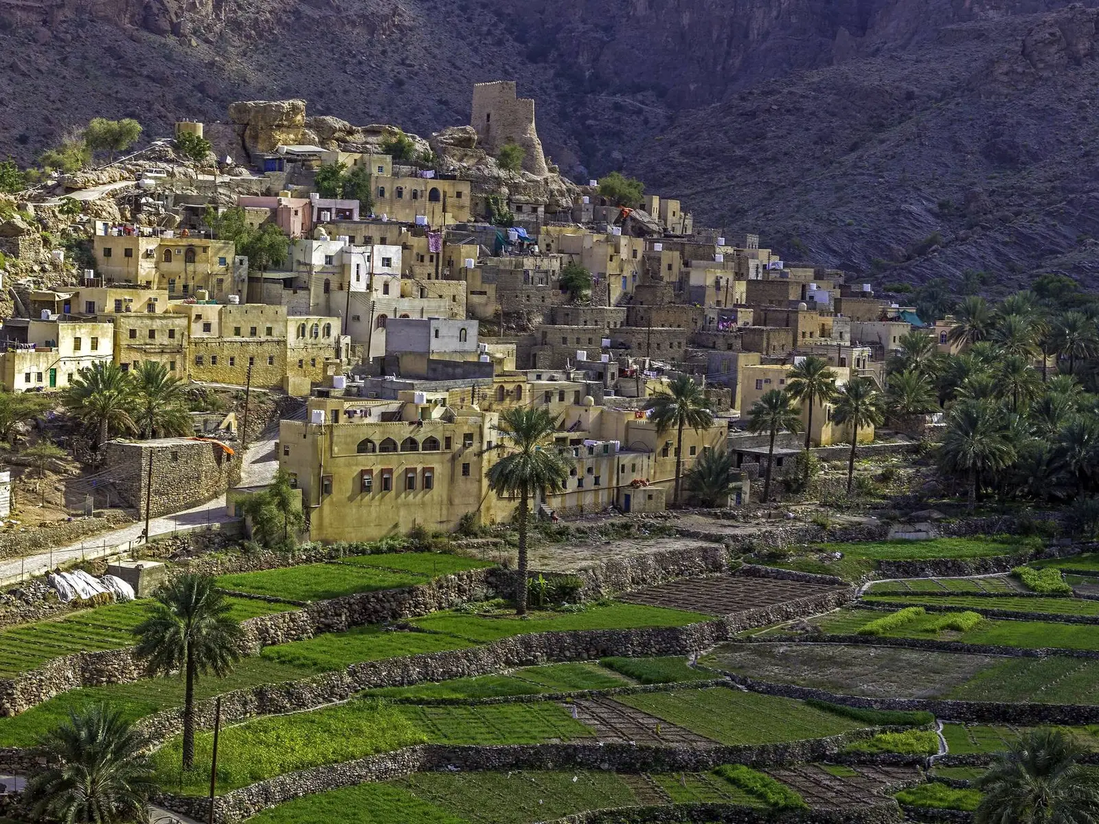 Photo of Bilad Sayt