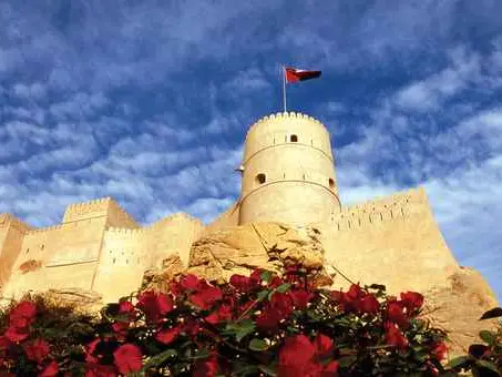 صورة قلعة نخل