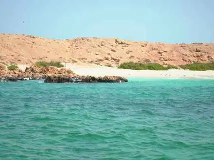 صورة محمية جزر الديمانيات الطبيعية