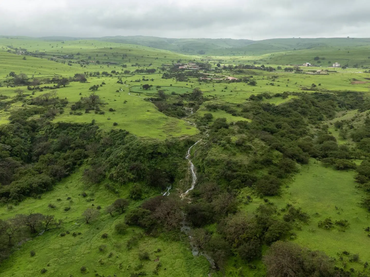 Photo of Khareef Dhofar, photo 12 of 16