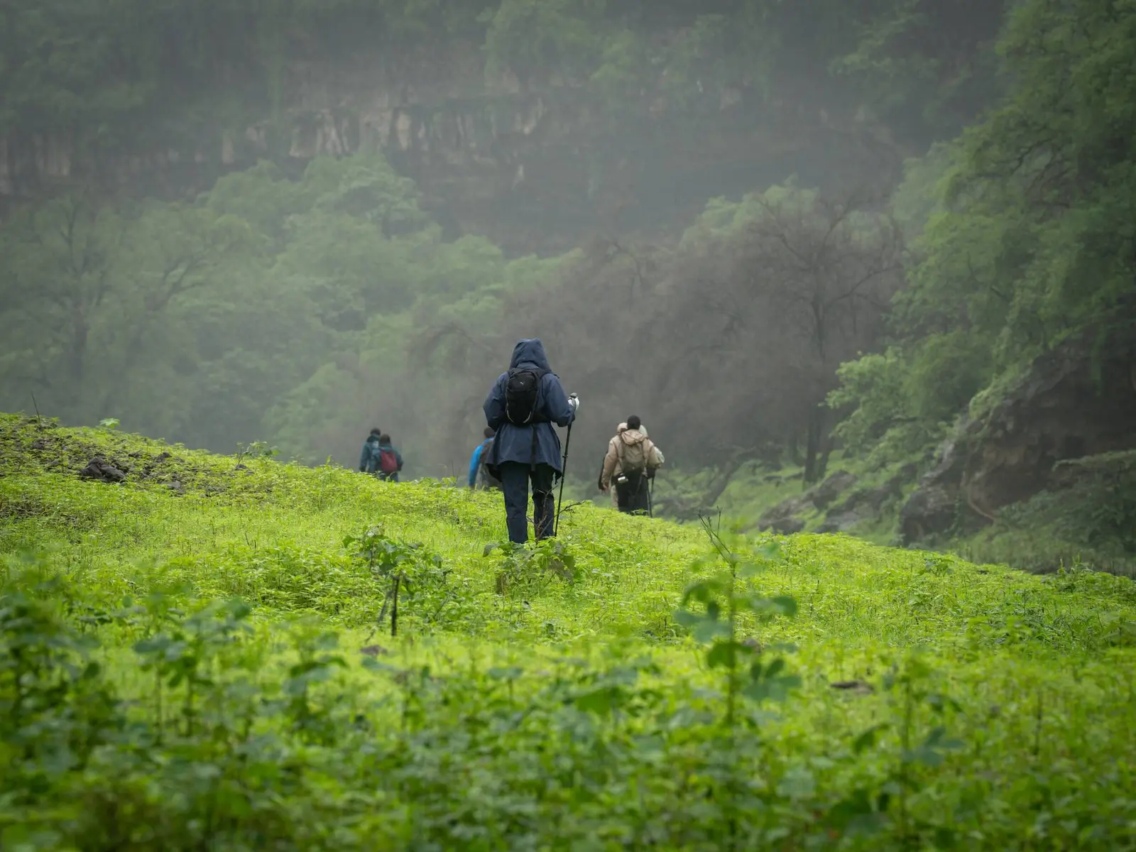 Photo of Khareef Dhofar, photo 16 of 16