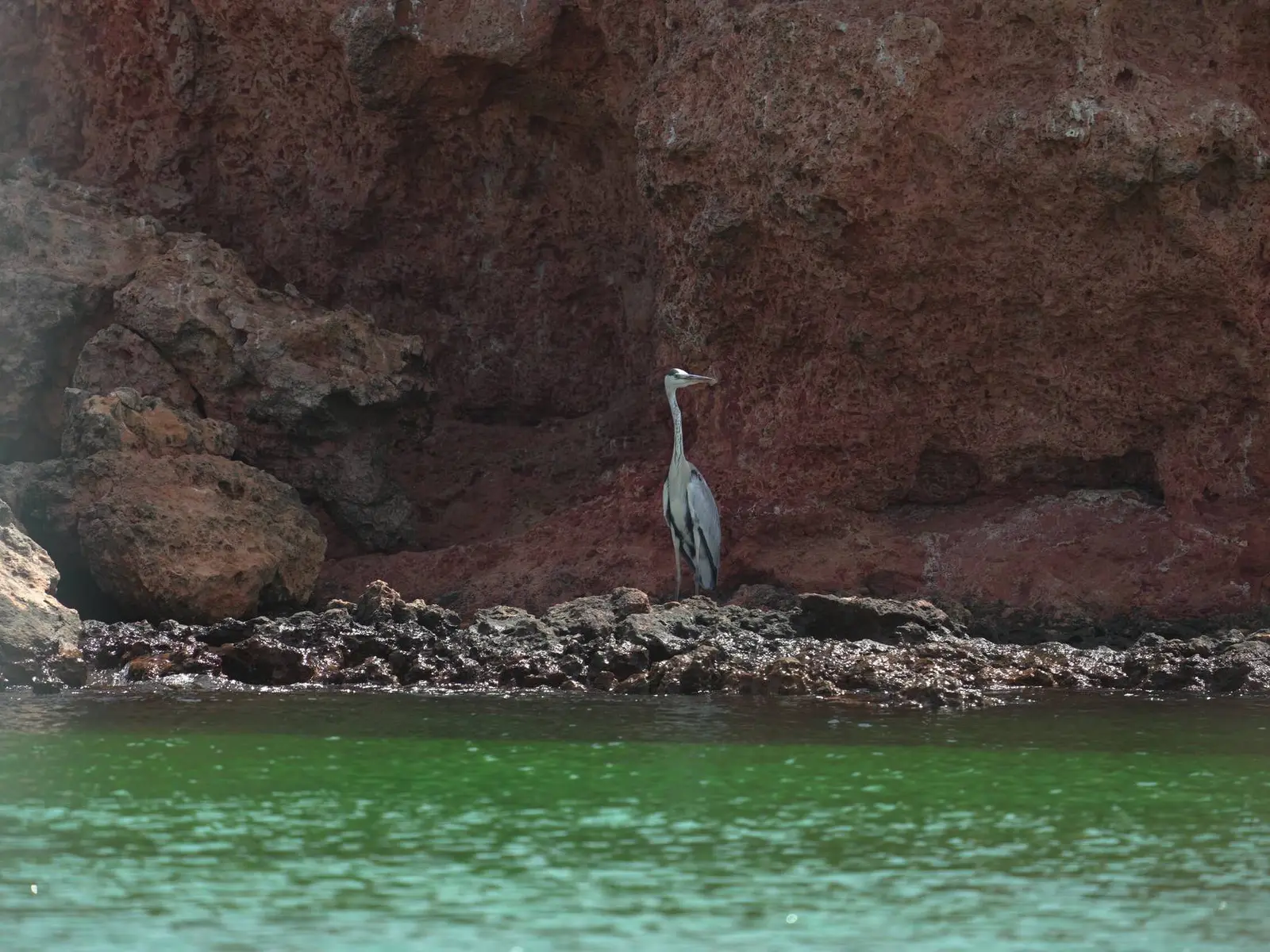 Photo of Daymaniyat Islands Nature Reserve