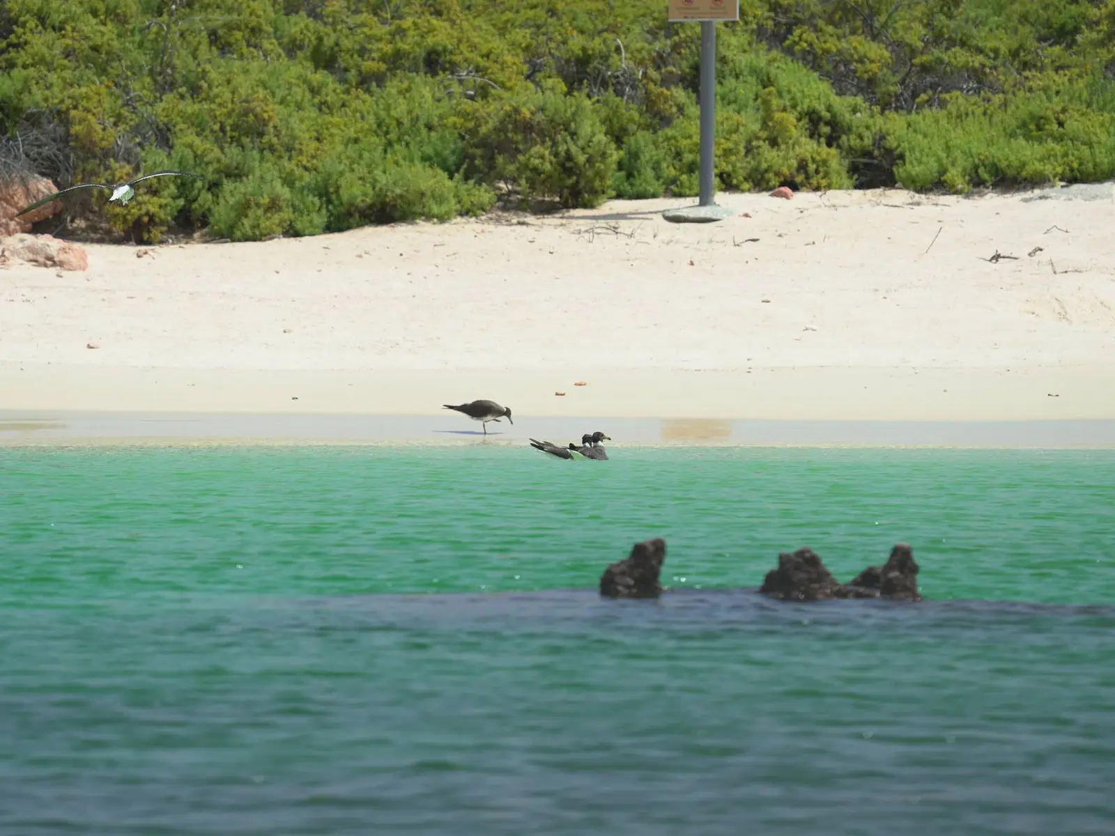 Photo of Daymaniyat Islands Nature Reserve