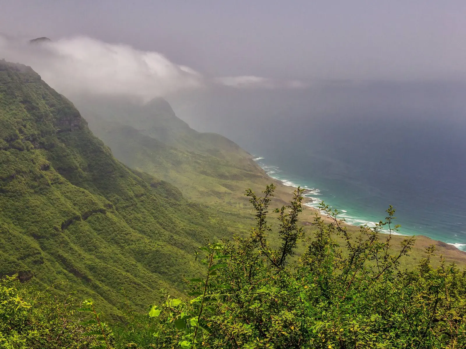 Photo of Khareef Dhofar, photo 11 of 16
