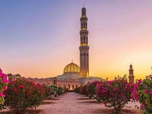 Private tour| Muscat by Night – Lights, Sea & Serenity