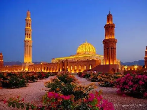 Private tour| Muscat by Night – Lights, Sea & Serenity