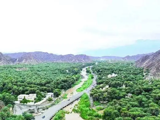 Private Tour-Samail Full-Day Experience – Heritage, Nature & Local Life