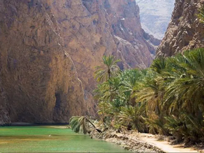 The Hidden Life of Oman: Mountains, Falaj & Forgotten Villages (Fanja & Samail)