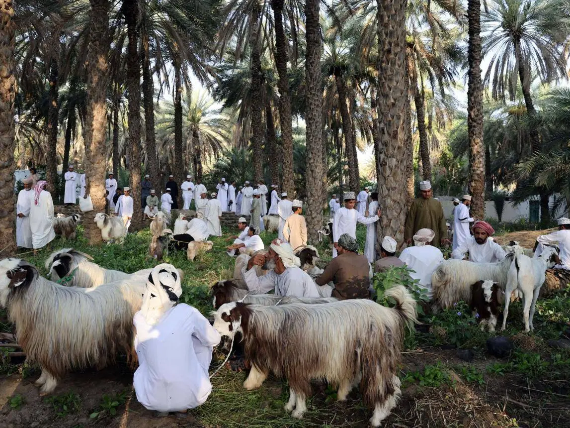 The Hidden Life of Oman: Mountains, Falaj & Forgotten Villages (Fanja & Samail)
