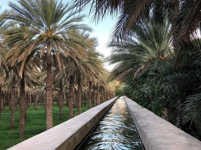 The Hidden Life of Oman: Mountains, Falaj & Forgotten Villages (Fanja & Samail)